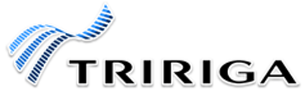 IBM TRIRIGA Logo